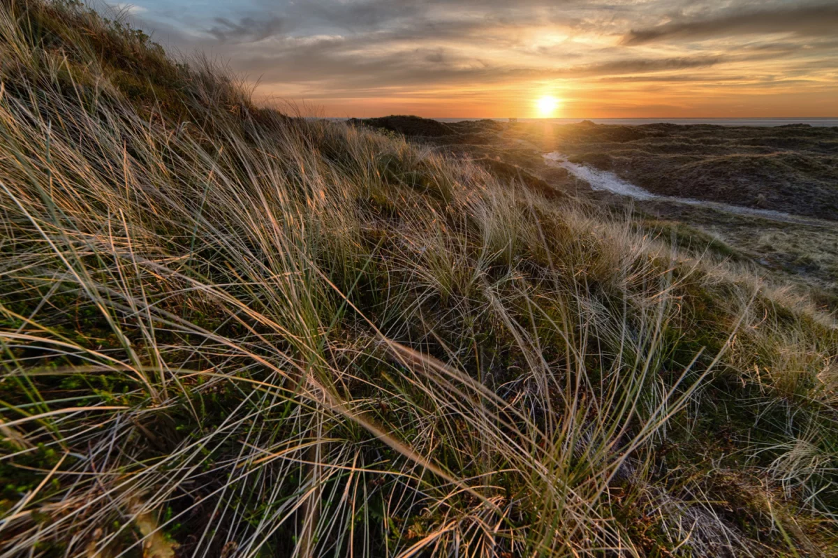 Jak  ulepszyć marketing - odkrycie 2023!