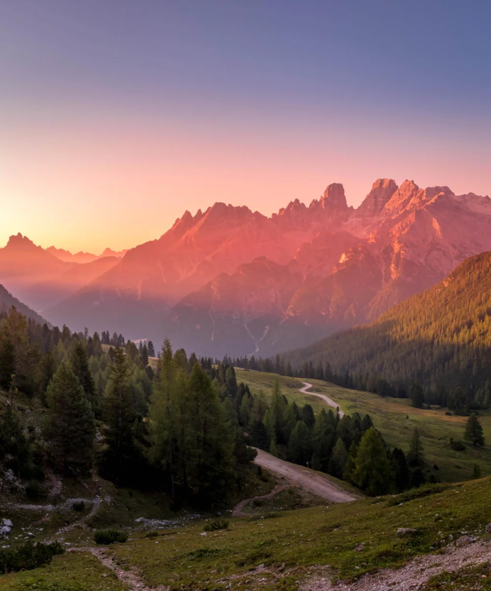 szkolić się jak mistrz!