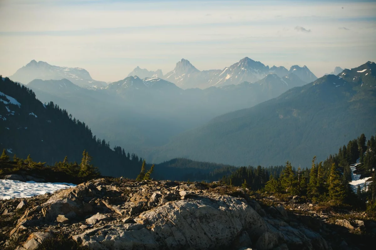 Jak w 2024 szybciej  robić biznes?