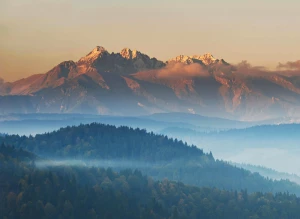 Oto Jak zorganizować wesele W 3 Dni