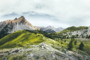 To Nie Twoja Wina, że Nie Wiesz Jak trenować (chyba, że Popełniasz Te 7 Największych Błędów)